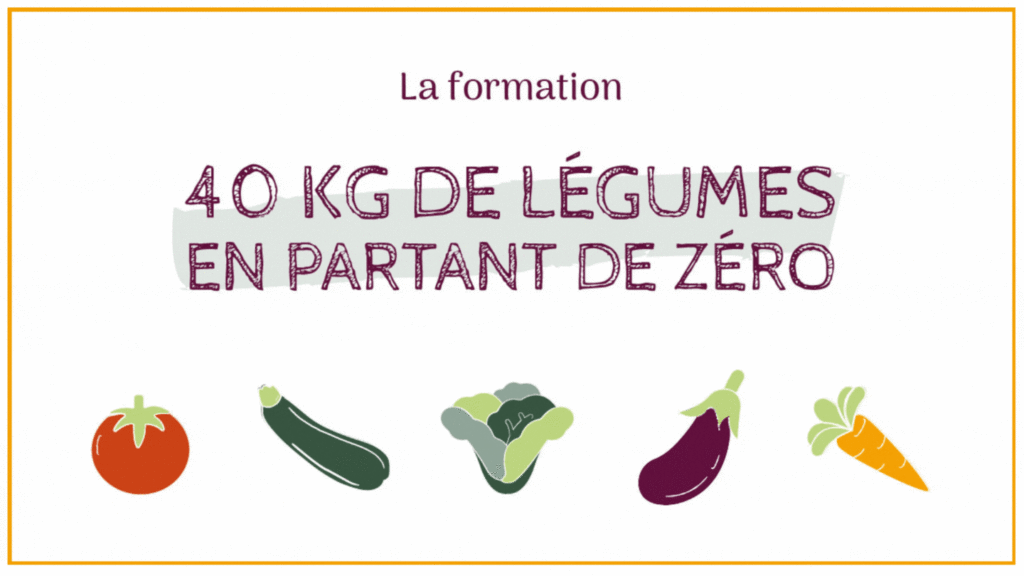 La formation 40kg de Légumes en Partant de Zéro